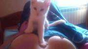 Kitty says, "I'm gonna make your bf jelous!"
