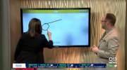 Seattle news anchor drawing a cannon on live TV