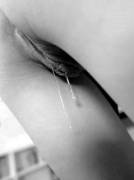 Drip Drip