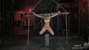 Athena Angel Suspended Over Fucking Machine (VIC)