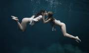 Under the sea
