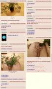 Green thumb 