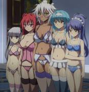 Harem line up