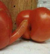 Tomato fun