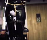 Collared. Chained to the ceiling. Strapped. Gagged. Drooling on my rug.