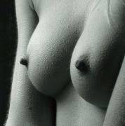 B/W image of fuzzy breasts with sweet hard nipples.