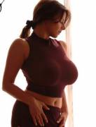 Burgundy Croptop