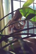 The plant really helps to accentuate the room