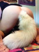 Loving my new tail!
