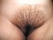 My wife's hairy pussy