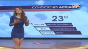 Yanet Garcia's hot weather and hotter dress (x-post /r/NewsBabes)