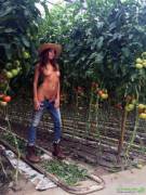 Katya Clover in a tomato field