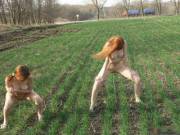 Redheads pornstarwannabe on the field