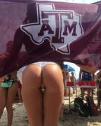 Aggies doing spring break right