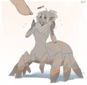 Fluffy Tarantula [X-Post /r/SpiderGirls]