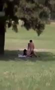 Sex in the park