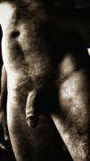 (m)orning light