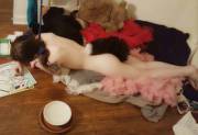 Puppy Playtime
