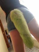 Bought a new fluffy tail at the craft fair over the 4th of July at a native American booth. It's even my favorite color ???????????? (Apparently heart eye emojis turn into question marks on imgur?)