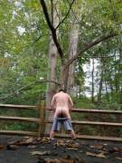 In the park