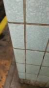 Women masturbating in NYC subway station