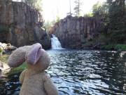 I wanted to post this here before anywhere else: My boyfriend and I planned to go on a road trip, but I ended up checking into rehab. He took my stuffed bunny Patricia on the trip instead and took pictures of her enjoying herself!