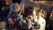 As requested, a picture of my bunny family!