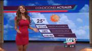 Yanet's Forecast