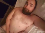 Gnight bears
