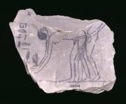 Ostracon (broken ceramic used as writing surface) Depicting Rear Entry Intercourse (Thebes, Egypt; New Kingdom)
