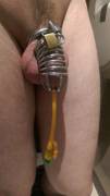 Catheterized sissy in chastity