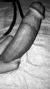 Who likes BBC