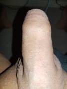 Sausage roll