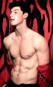 Shawn Mendes - Canadian Singer