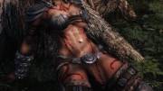 Skyrim mod