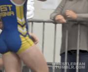 Incredible Ass