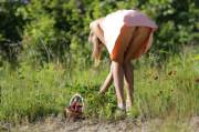 Katya Clover enjoys picking deliciously fresh strawberries