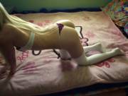 Tiny on Bed