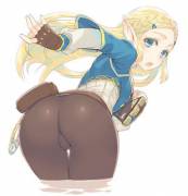 Zelda shows off [BOTW]