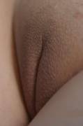 Closed and Shaved