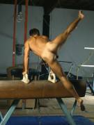 Tackling The Pommel Horse