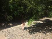 Nudity as unintended camouflage: me by the river under the partial shade of the trees