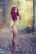 Into the woods