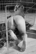 Back to cage