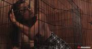 Happy in her cage