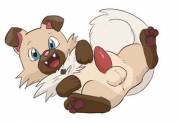 [M] Lewd Rockruff