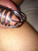 Caged and Plugged