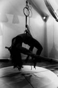 Just Hanging Around...