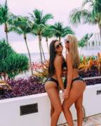 UGA Kappa Delta Spring Break Babes