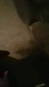 For those that wanted video, we tried and almost got caught